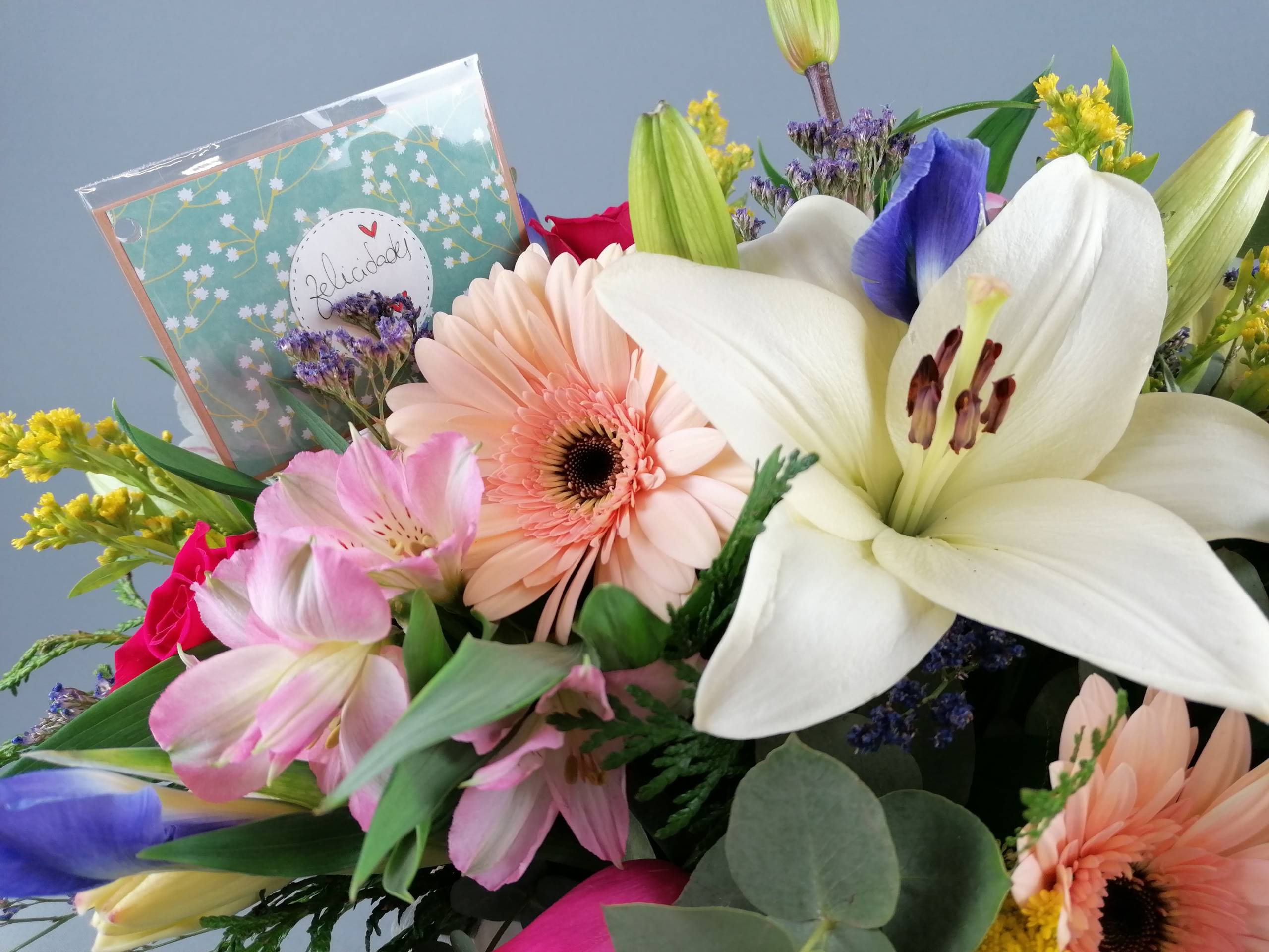 Ocasiones Especiales